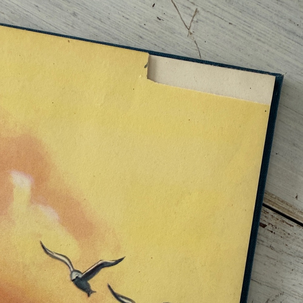 1946 ‘This is the World’ Vintage Children’s Book by Pease - Rand McNally - Picture 6 of 16